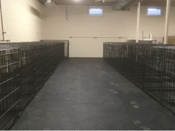 Spacious 42" crates for nap times