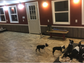 Lots of indoor room and waterproof walls and flooring!