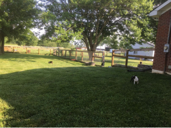 Spacious yard when boys need to be kept separate from girls