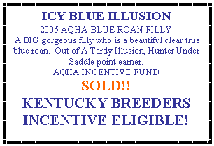 Text Box: ICY BLUE ILLUSION2005 AQHA BLUE ROAN FILLY A BIG gorgeous filly who is a beautiful clear true blue roan.  Out of A Tardy Illusion, Hunter Under Saddle point earner.AQHA INCENTIVE FUNDSOLD!!KENTUCKY BREEDERS INCENTIVE ELIGIBLE!